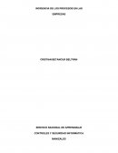 INCIDENCIA DE LOS PROCESOS EN LAS EMPRESAS