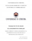 EL ACOGIMIENTO FAMILIAR. MARCO JURÍDICO Y ESPECIAL REFERENCIA AL ANTEPROYECTO DE LEY DE INFANCIA Y ADOLESCENCIA DE ANDALUCÍA