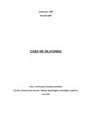 CASO GE SILICONES