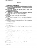 Resumenes Expresion oral y escrita