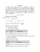 ESTRUCTURA DE LA CAJA NEGRA