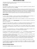 Niveles de estudio de la lengua