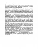 Resumen Trabajadora Social