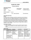SÍLABO DEL CURSO Procesos Químicos