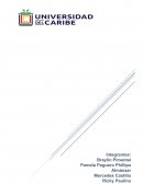 Tendencia de compra y satisfacción del servicio a crédito