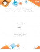 GOBIERNO CORPORATIVO Y SOSTENIBILIDAD ORGANIZACIONAL