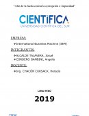 International Business Machine (IBM)