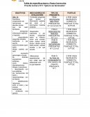 Tabla de especificaciones y Pauta Corrección Prueba Lectura N°2: “Quiero un hermanito”