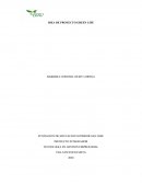 IDEA DE PROYECTO GREEN LIFE