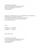 DEFENSA DEL CONTRIBUYENTE ANTE LA TRANSGRESIÓN DE LOS PRINCIPIOS DE PROGRESIVIDAD, CAPACIDAD CONTRIBUTIVA E IGUALDAD DEL TRIBUTO SOBRE ACTIVIDADES ECONÓMICAS