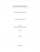 Visión de un desastre anticipado como eventos que desencadenan la explosión -dirigida o accidental- vigilados sobre un dominio de dominantes políticos que buscan ser cada uno quien prevalece en el poder