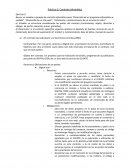 Práctico 5: Contrato Informático