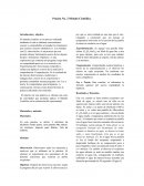 Prácita No. 2 Método Científico