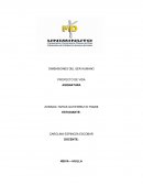 DIMENSIONES DEL SER HUMANO PROYECTO DE VIDA