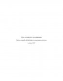 Taller socioeducativo y sus componentes. Práctica desarrollo de habilidades sociopersonales y afectivas