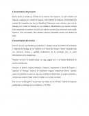 Proyecto final empresa The Organizer