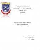 Venezuela agrícola a petrolera