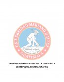 IMPORTANCIA DE LA ADMINISTRACIÓN EN LAS EMPRESAS