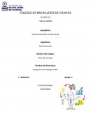 Mapa conceptual PLANTEL 35