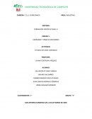 Actividad: Liderazgo y toma de decisiones. Estudio de caso liderazgo