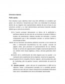 Estructura empresa Public expréss