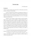 Tras las rejas. El zoológico de Chapultepec