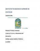 PRODUCTIVIDAD HUMANA. CONFLICTO EN LA ORGANIACION