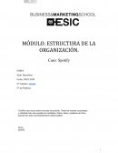 Caso Spotify Marketing