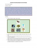 Actividad de Continuidad pedagógica de 4° año de Biología