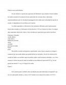 Ondas en una cuerda elástica