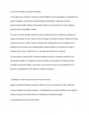 La acción psicológica en la guerra irregular