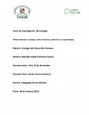 Realizar un ensayo, sobre memoria y atención en el aprendizaje