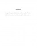 Sociologia y Religión