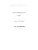 ENSAYO CREA TU MENTE EMPRESARIAL