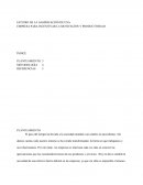 ESTUDIO DE LA GAMIFICACIÓN DE UNA EMPRESA PARA INCENTIVAR LA MOTIVACIÓN Y PRODUCTIVIDAD