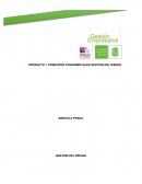 GESTION DEL RIESGO. Empresa Palmas del Cesar