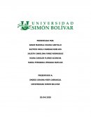 ¿Cómo define el PNUD el concepto de Desarrollo Humano?