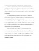 La economía-política y las necesidades humanas relacionadas con la pandemia actual