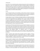 Investigacion de mercado. Plan de estructura de marketing