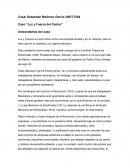 Caso “Luz y Fuerza del Centro”