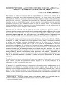 REFLEXIONES SOBRE LA CONSTRUCCIÓN DEL DERECHO AMBIENTAL