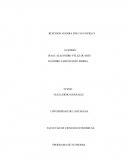 EL HAMBRE POR LA ROCA