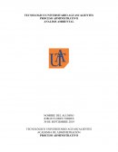 ANÁLISIS AMBIENTAL