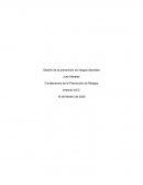 Gestión de la prevención de riesgos laborales