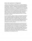 Informe sobre experiencia en la Organización