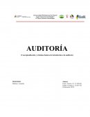 AUDITORÍA (Conceptualización y términos básicos de introducción a la auditoría)