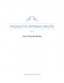PRODUCTO INTERNO BRUTO Análisis
