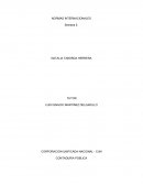 NORMAS INTERNACIONALES