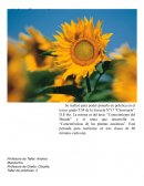 Secuencia didáctica 3° Área: Conocimiento del Mundo "Adaptaciones a los medios"