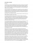 Notas sobre la violencia